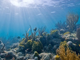 Biscayne National Park